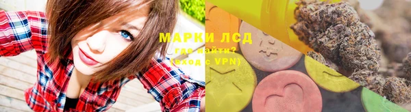 гидропоника Белокуриха