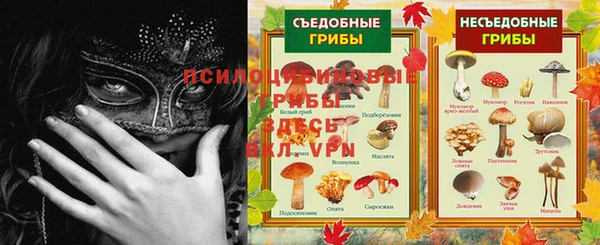 сатива Белоозёрский