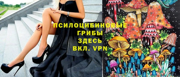 сатива Белоозёрский